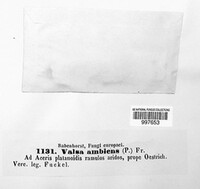 Image Associated With the Occurence